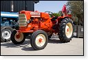Tractor oldtimer allis chalmers ed-40 landbouw veeteelt industrie vee polder agrarisch agricultuur milieu klimaat stikstof co2 bio ecologisch biologisch natura2000 planetproof natura 2000 veehouderij